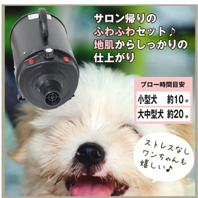 ペット用　強力静音ドライヤー その他のペット用品(犬)の商品写真