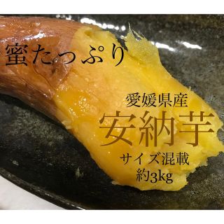 さつまいも　安納芋　愛媛県産　農家直送　サイズ混載　約3kg(野菜)