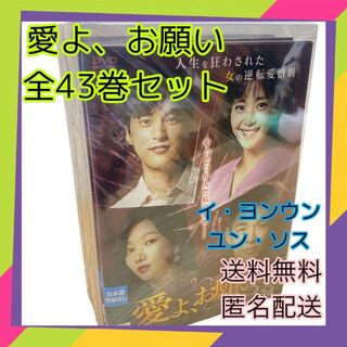愛よ、お願い　DVD 全43巻　セット　レンタル使用済み(韓国/アジア映画)