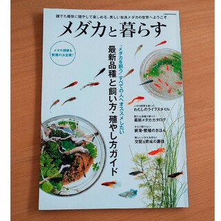 メダカと暮らす(住まい/暮らし/子育て)