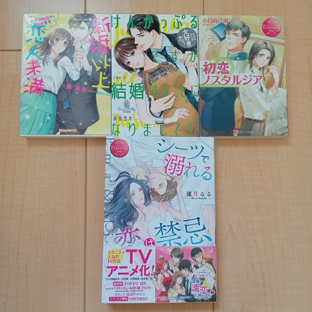TL小説 4冊セット - 本