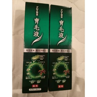 コバヤシセイヤク(小林製薬)の2本セット アロエ製薬 育毛液  内容量 150ml(スカルプケア)