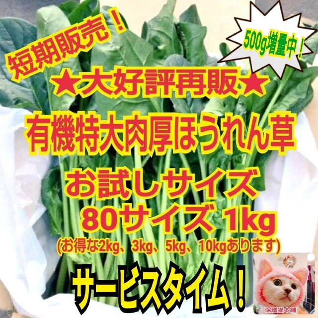 【増量中】短期再販中！お試しサイズ★鳥取県産有機特大肉厚ほうれん草1.5kg 食品/飲料/酒の食品(野菜)の商品写真