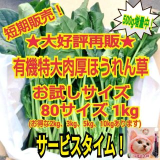 【増量中】短期再販中！お試しサイズ★鳥取県産有機特大肉厚ほうれん草1.5kg(野菜)