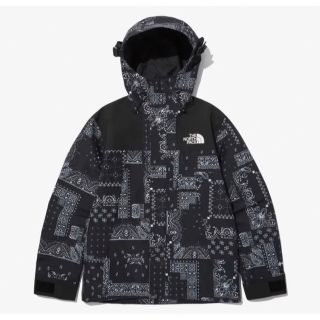 ノースフェイス(THE NORTH FACE) ペイズリー マウンテンパーカー