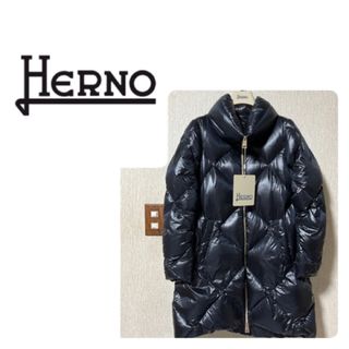 ヘルノ(HERNO)の新品タグ付 HERNO ¨ダウンコート 40(ダウンコート)