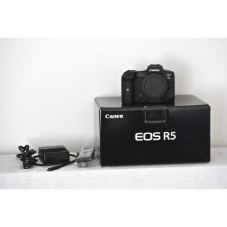 Canon EOS Kiss M予備バッテリー付 スマホ/家電/カメラ カメラ mizudo.com