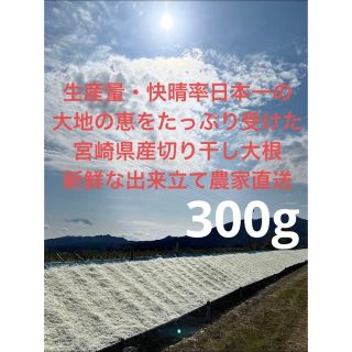 【冬季限定・農家直送】日本一の宮崎県産千切り（切り干し）大根　300g(野菜)