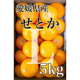 柑橘の大トロ！！えひめ中央農協選果【せとか】L 5kg(フルーツ)