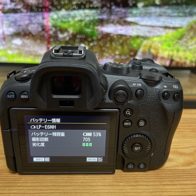 Canon R6 SDカード２枚付