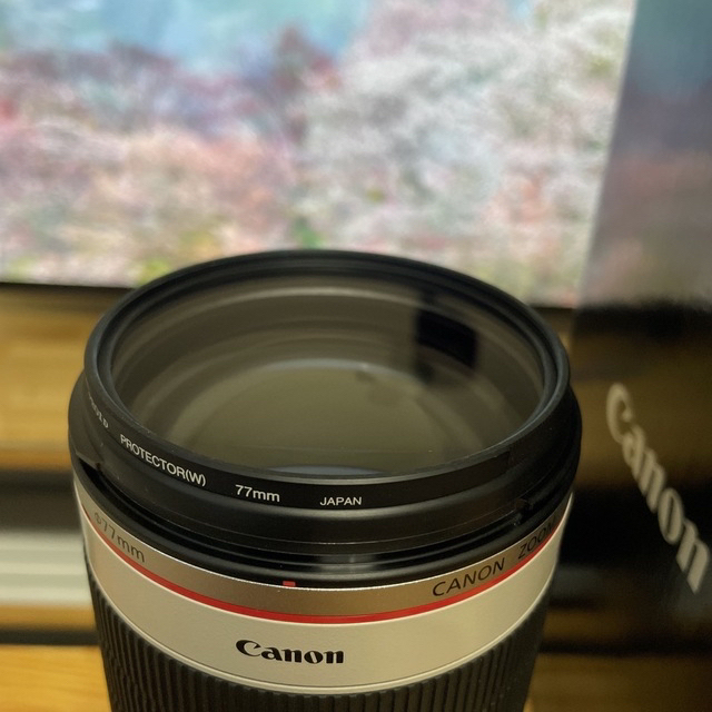 Canon(キヤノン)のCanon EF70-200mm F2.8L IS II USM スマホ/家電/カメラのカメラ(レンズ(ズーム))の商品写真