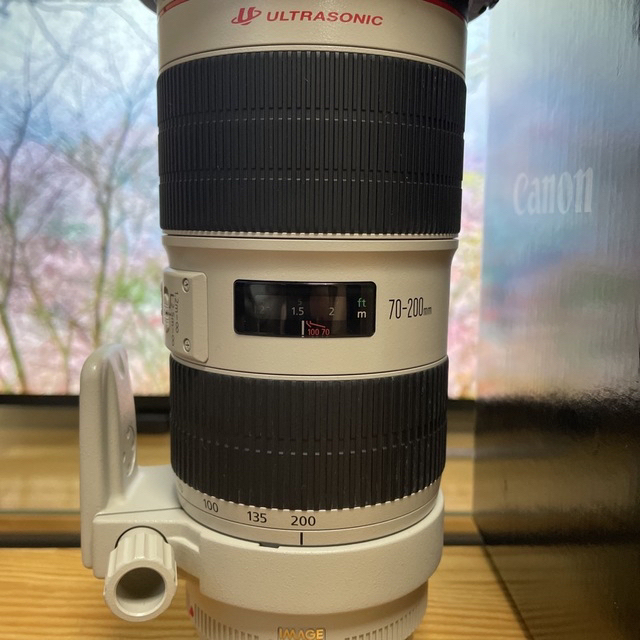 Canon(キヤノン)のCanon EF70-200mm F2.8L IS II USM スマホ/家電/カメラのカメラ(レンズ(ズーム))の商品写真