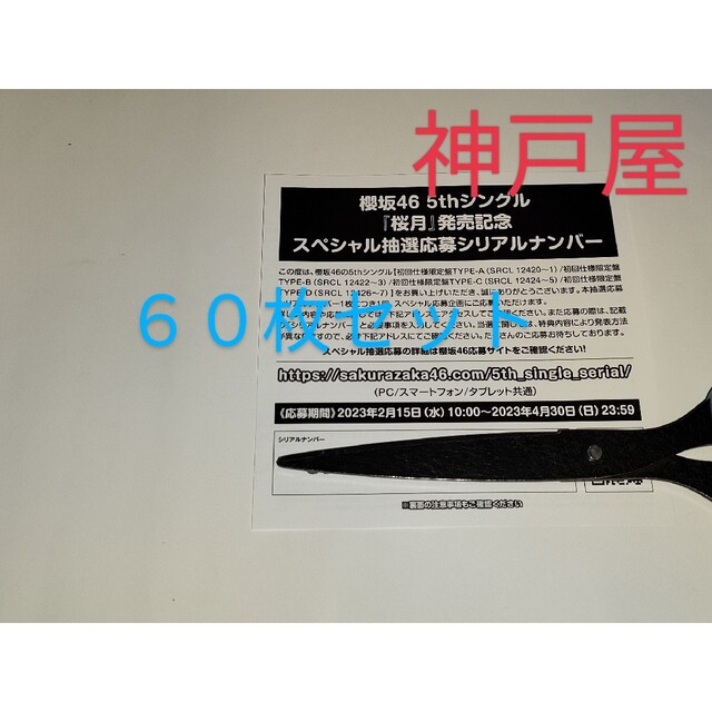 〈櫻坂46〉櫻月 抽選応募シリアルナンバー 60枚セット
