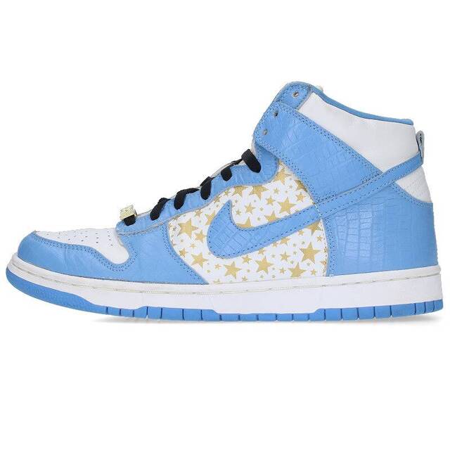 殿堂 NIKE 28.5cm メンズ ダンクハイプロエスビースニーカー 307385