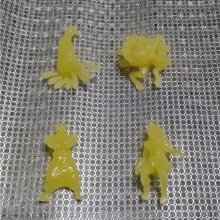 フルタセイカ(フルタ製菓)の異種最強王　チョコエッグ食玩⑥(その他)