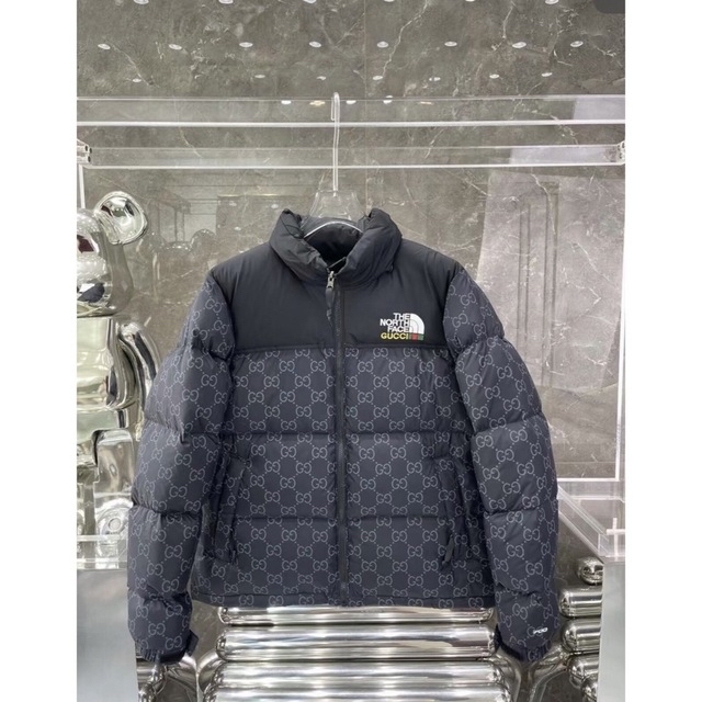 2022秋冬新作】 THE GUCCIダウンジャケット NORTHFACE THE - FACE
