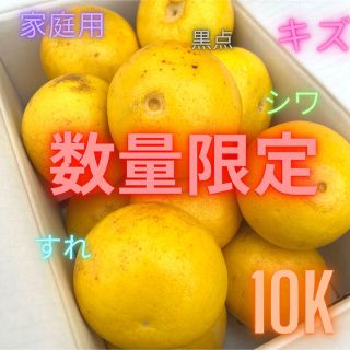 【数量限定！値段で勝負(￣^￣)ゞ 】土佐文旦 01(フルーツ)