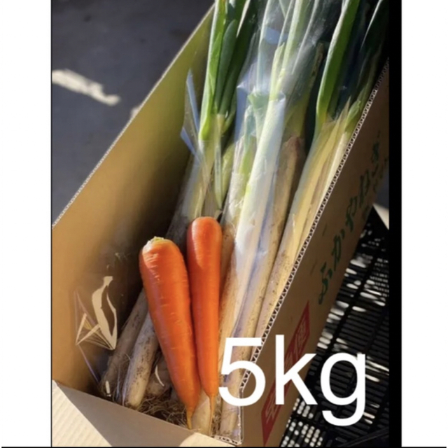 深谷ネギ　5kg 食品/飲料/酒の食品(野菜)の商品写真