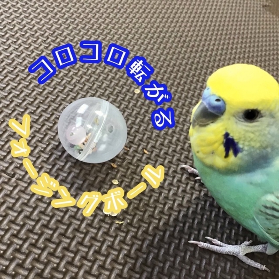 フォージングボール★インコや文鳥の小鳥のハンドメイドおもちゃ　バードトイ ハンドメイドのペット(おもちゃ/ペット小物)の商品写真