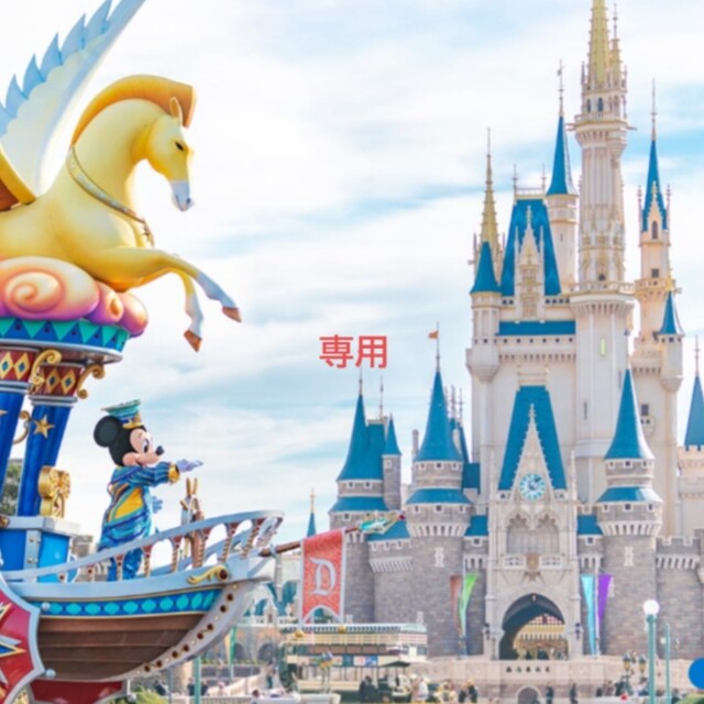 Disney(ディズニー)のJANJAN様専用 エンタメ/ホビーのおもちゃ/ぬいぐるみ(キャラクターグッズ)の商品写真