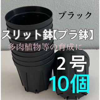 【スリット鉢】プラ鉢直径6cm 2号　10個セット【新品】ブラック(プランター)