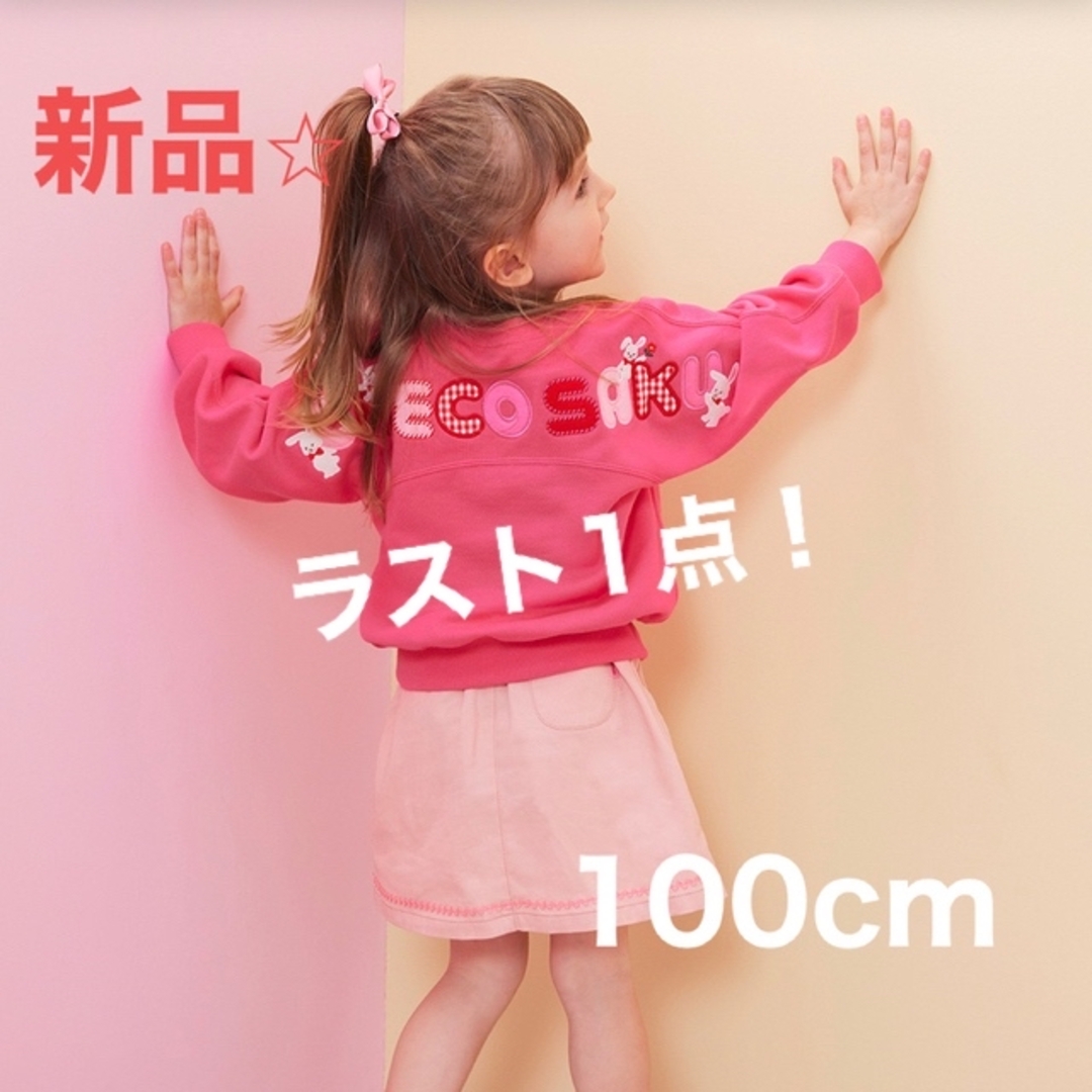 新品⭐︎ミキハウス チエコサク バックロゴトレーナー 100cm-