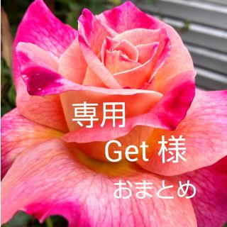 Get様　専用　985　979　986　991(チャーム)