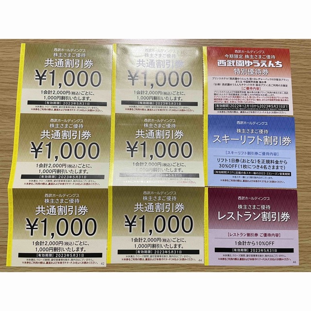 西武 株主優待 共通割引券 スキーリフト レストラン プリンスホテル - rymazfinance.com
