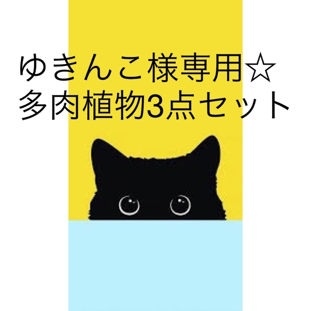 ゆきんこ様専用出品ページです！ ハンドメイドのフラワー/ガーデン(その他)の商品写真