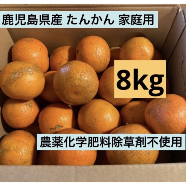 鹿児島県産 タンカン 家庭用 8kg 農薬化学肥料除草剤不使用