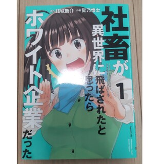 社畜が異世界に飛ばされたと思ったらホワイト企業だった １(青年漫画)