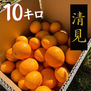 静岡県浜松産【清見オレンジ】きよみ　みかん　10キロ (フルーツ)