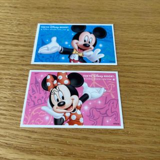 ディズニー(Disney)の【使用済】ディズニーパスポート(遊園地/テーマパーク)