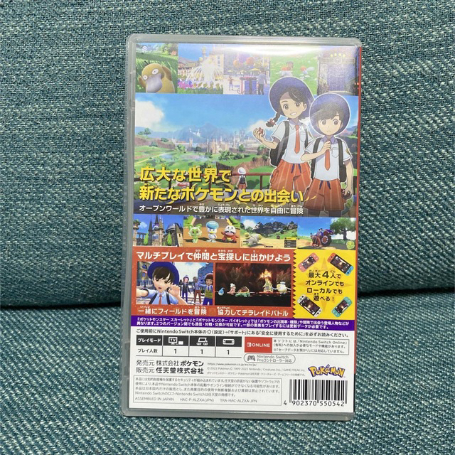 Nintendo Switch - 【あり様専用出品】ポケットモンスター