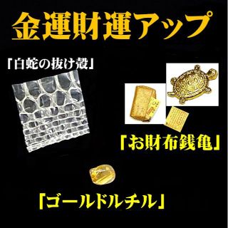 金運・財運アップ「お財布銭亀・白蛇の抜け殻・ゴールドルチル」セット(その他)