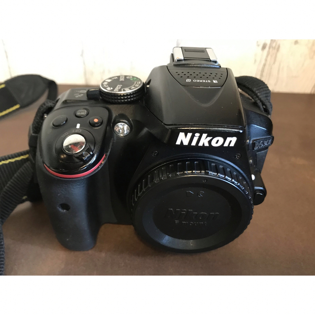 Nikon D5300 標準レンズとズームレンズ付き