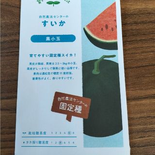 自然農　固定種　すいか　黒小玉　種子(野菜)