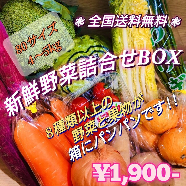 【2/21発送!!】新鮮野菜と果物 山盛り詰合せBOX 全国送料無料 食品/飲料/酒の食品(野菜)の商品写真