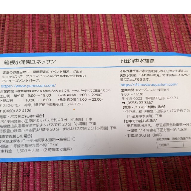 藤田観光　株主優待券　下田海中水族館　2023年3月迄　箱根小涌園ユネッサン チケットの施設利用券(水族館)の商品写真