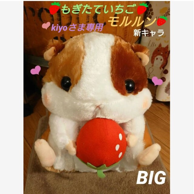ころはむコロン【kiyoさま専用】もぎたていちご ♥モルルン BIGの通販