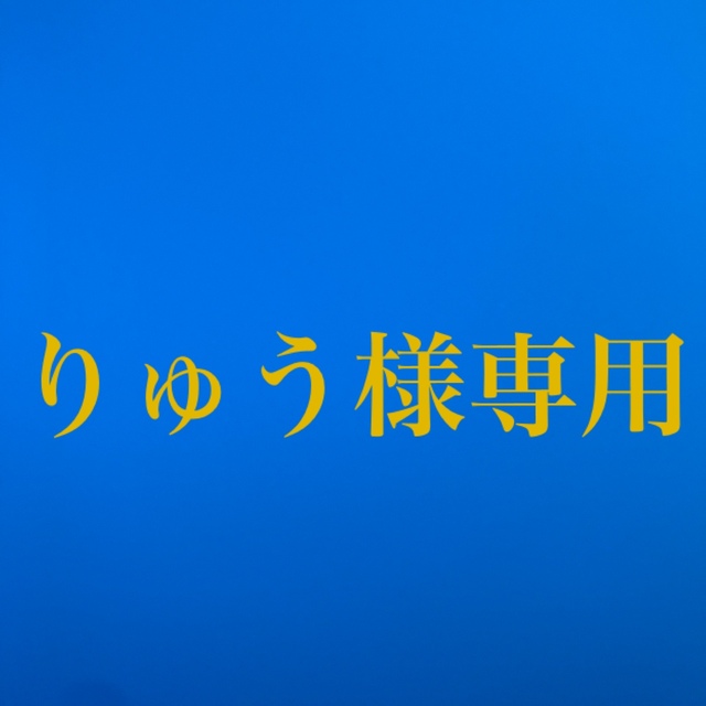 りゅうさま専用