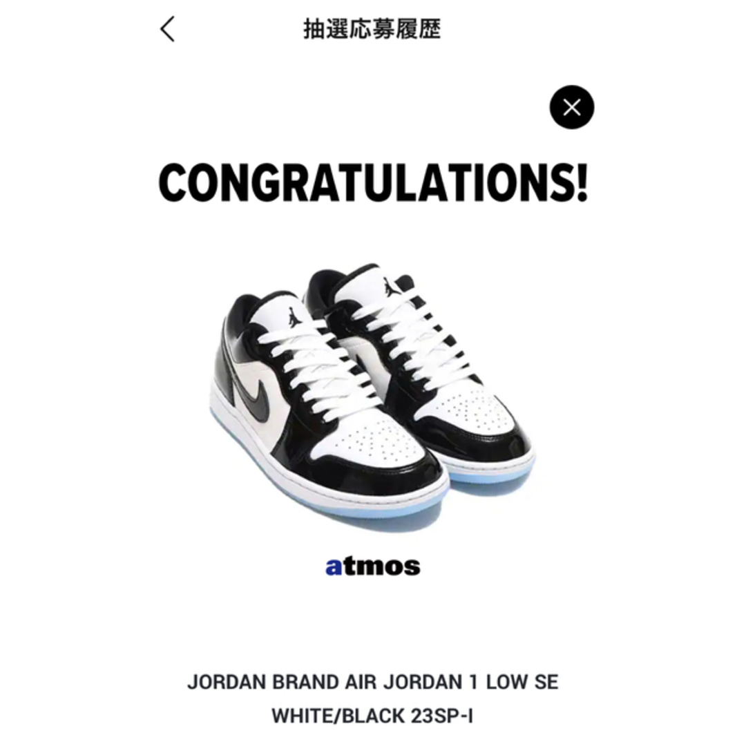 Nike Air Jordan 1 Low "Concord" 新品　29cm