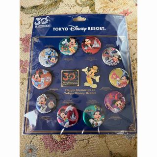 ディズニー(Disney)のディズニーランド 30周年記念 缶バッジ ピンバッジ(バッジ/ピンバッジ)