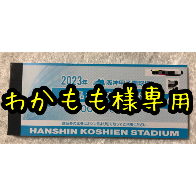 2023年 甲子園 商品引換券 60000円分スポーツ