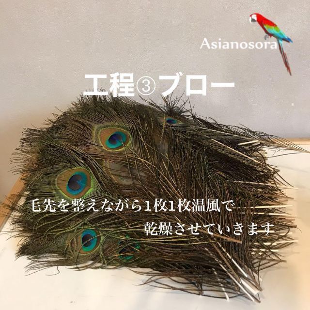 【クジャク 5:5】孔雀　羽根 剣  目玉 パーツ 鳥の羽根  ハンドメイドの素材/材料(各種パーツ)の商品写真