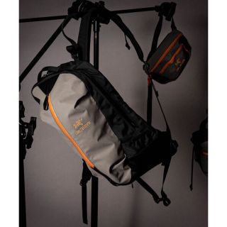 アークテリクス(ARC'TERYX)のARC’TERYX × BEAMS ARRO 22 ReBIRD バックパック(バッグパック/リュック)