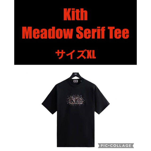 Tシャツ/カットソー(半袖/袖なし)新品　Kith Meadow Serif Tee ブラック