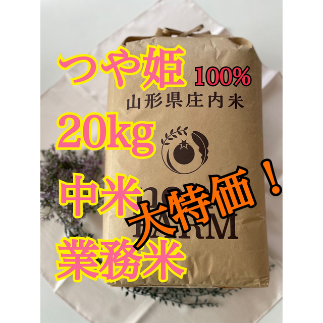 つや姫　業務米20kg 令和4年産 特別栽培米　山形　中米米/穀物