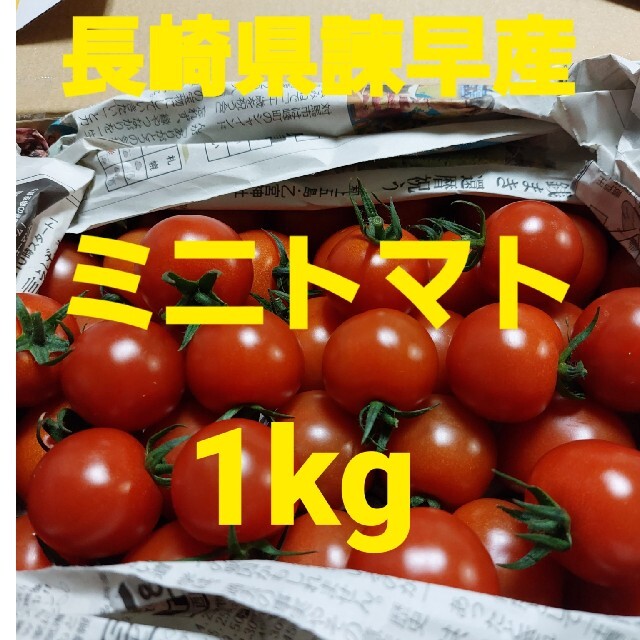 長崎県諫早産ミニトマト1kg 食品/飲料/酒の食品(野菜)の商品写真