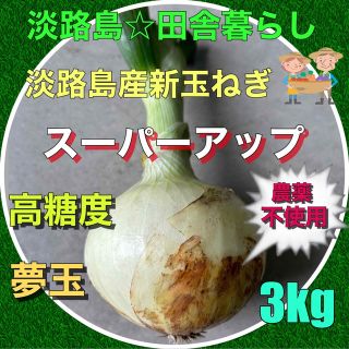 淡路島産新玉ねぎ3kg スーパーアップ 農薬不使用 高糖度 夢玉(野菜)